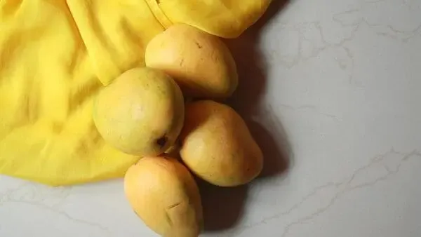 UAE’s Growing Appetite for Indian Mangoes Drives New Export Opportunities for Andhra Pradesh Farmers